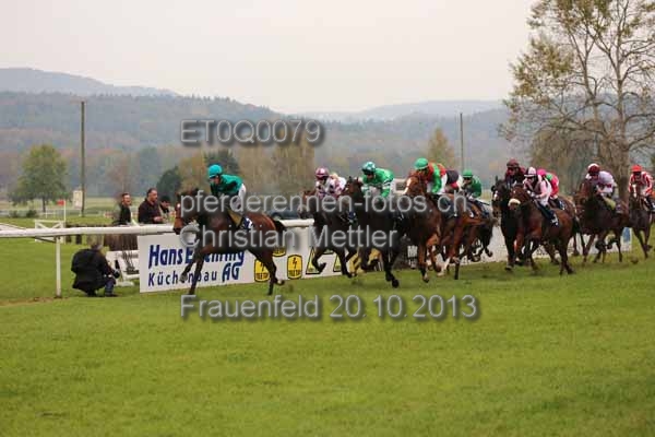 ET0Q0079 prot